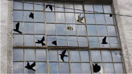 Foto de uma janela com alguns vidros quebrados.
